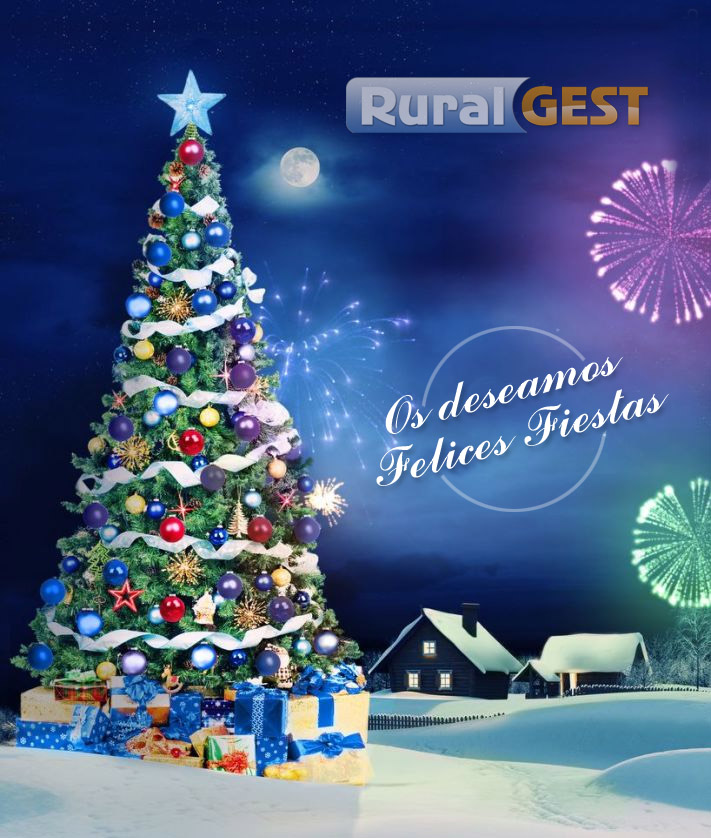 Felicitación Navidad 2013 RuralGest