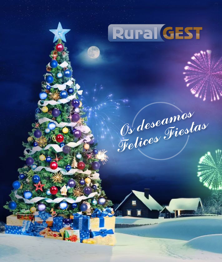 Felicitacin Navidad 2013 RuralGest